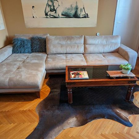 Center, Private Garage, Danube & Fortress, 3 Bdrm 2 Bath Нови Сад Екстериор снимка