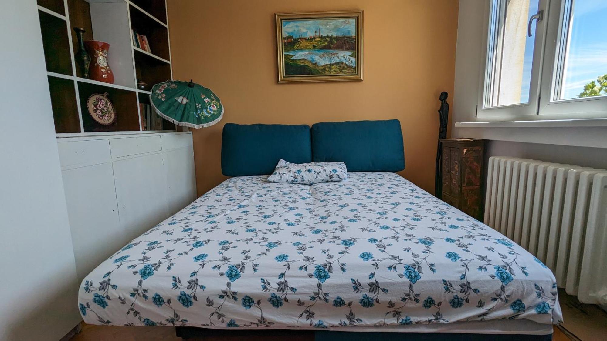 Center, Private Garage, Danube & Fortress, 3 Bdrm 2 Bath Нови Сад Екстериор снимка